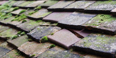 Compton Dando roof repair costs